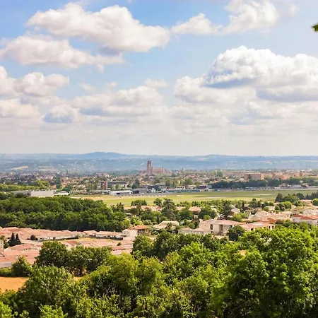 La Vue D'albi - Campagne - Jardin *