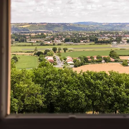 La Vue D'albi - Campagne - Jardin